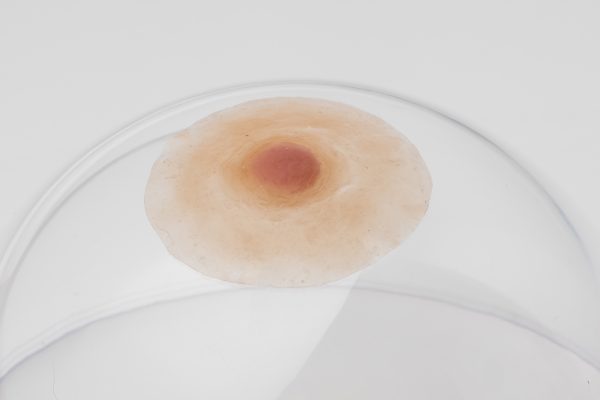 Silicone nipples– Natural style (pair)