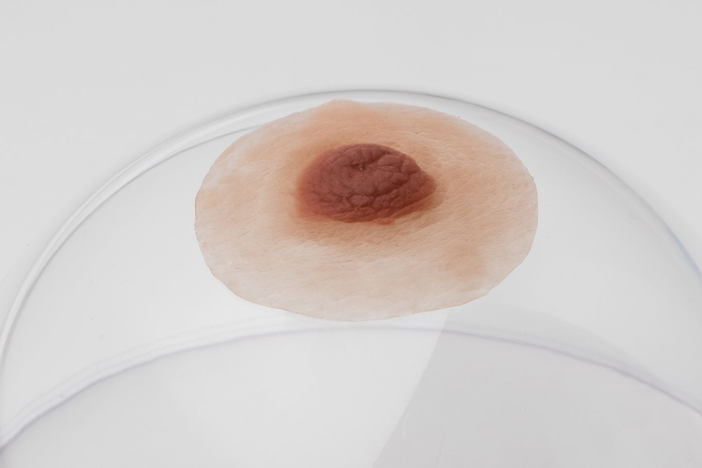 Silicone nipples– Modest style (pair)