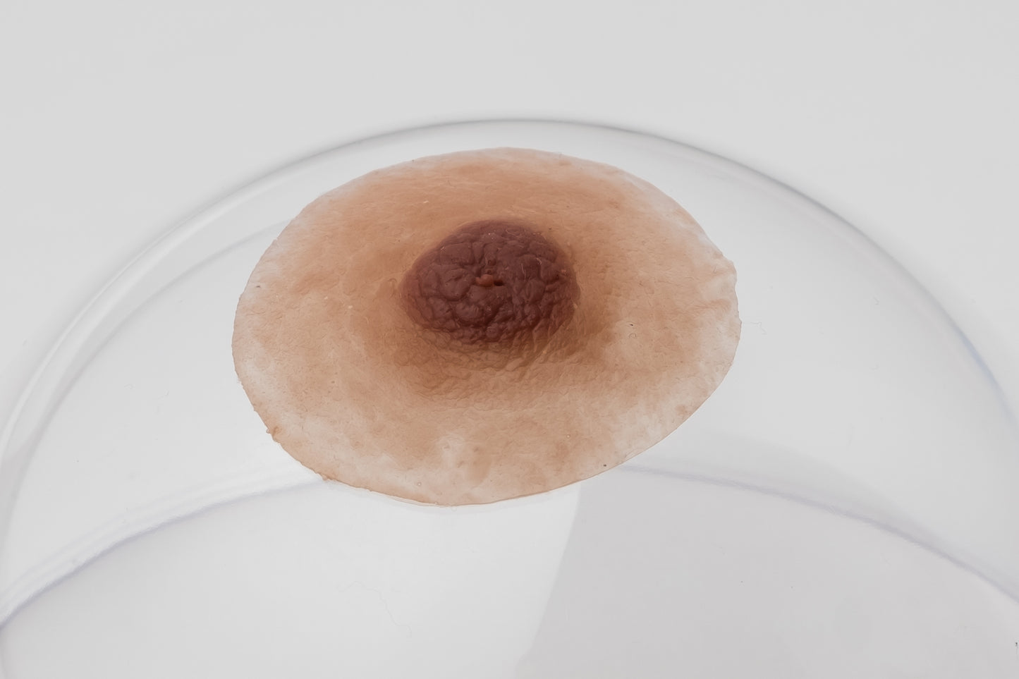 Silicone nipples– Modest style (pair)