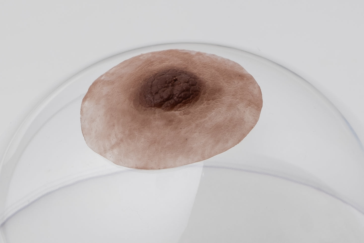 Silicone nipples– Modest style (pair)