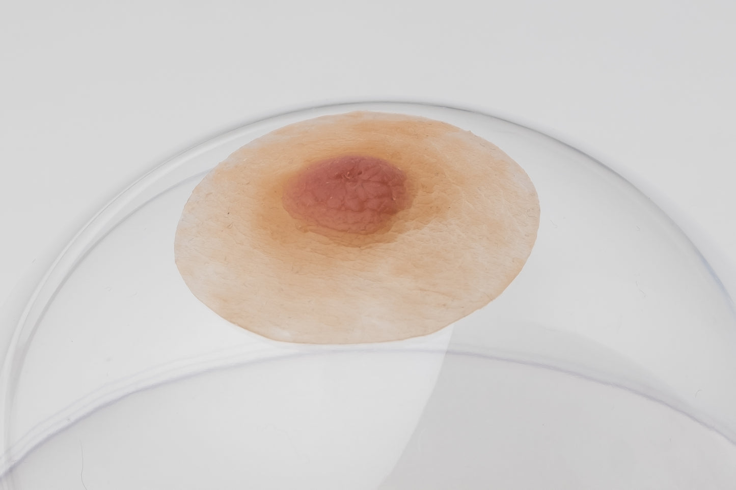 Silicone nipples– Modest style (pair)