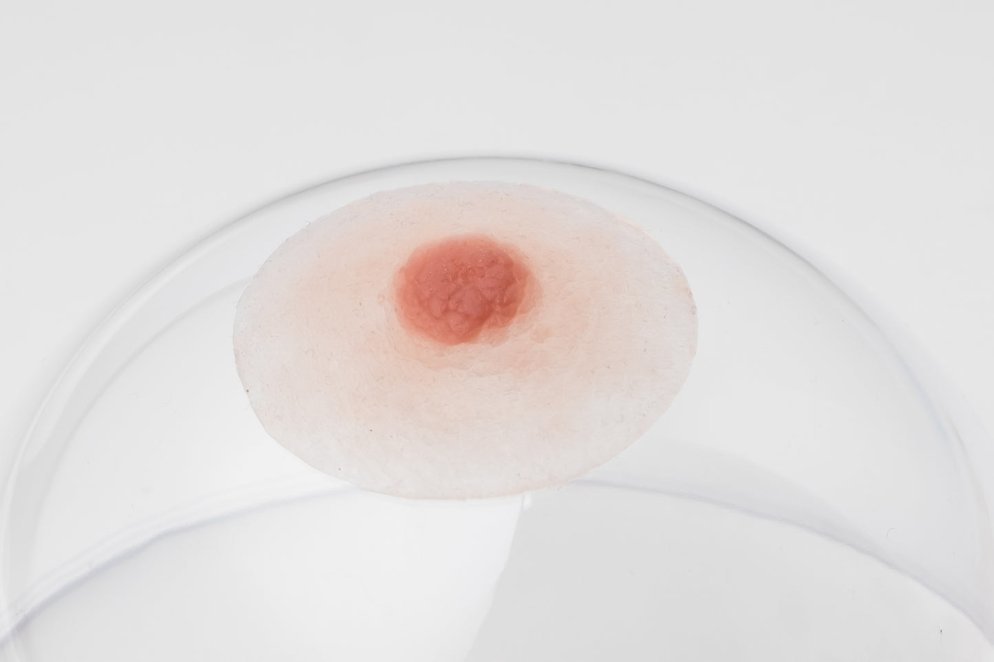 Silicone nipples– Modest style (pair)