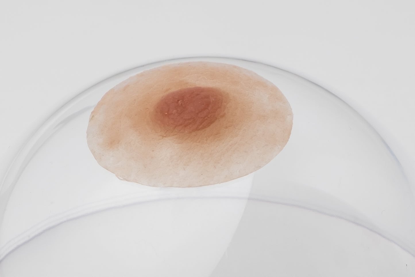 Silicone nipples– Modest style (pair)